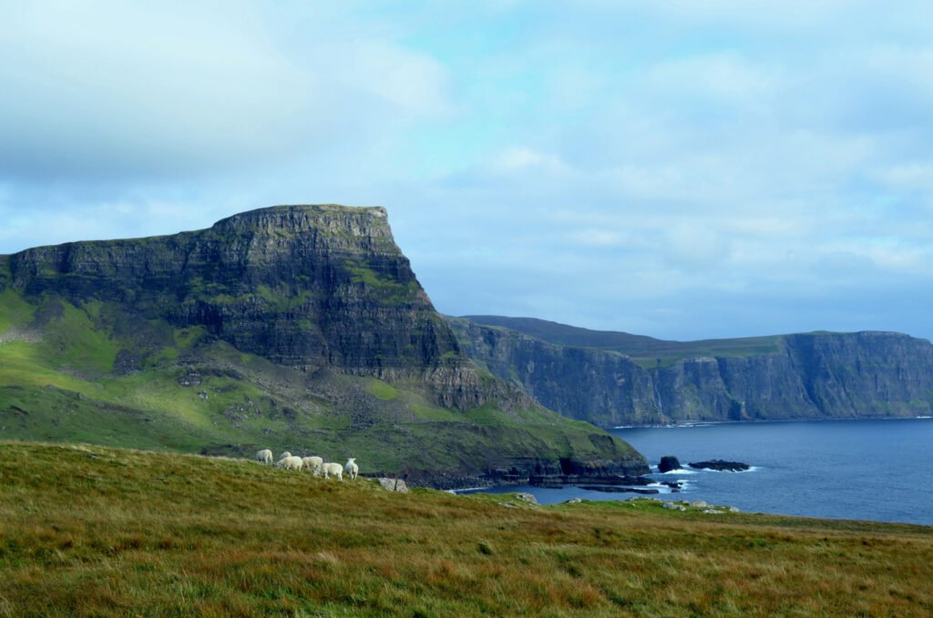 Gros Morne National Park