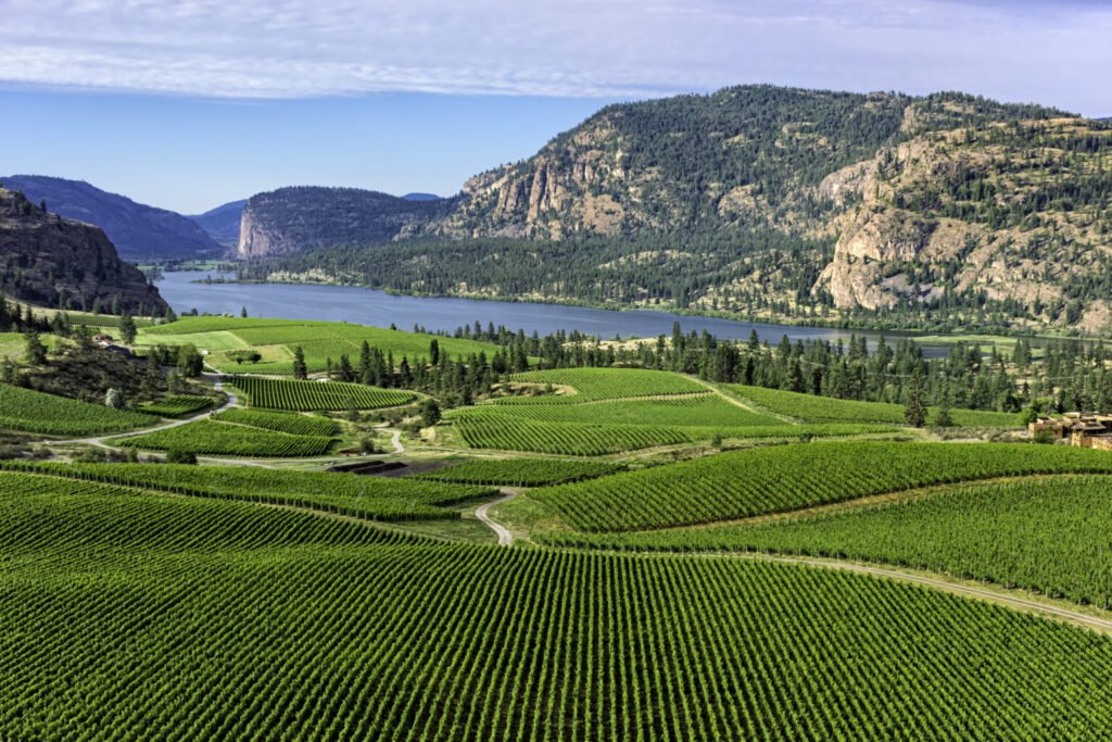 The Okanagan Valley, BC by Tod Stewart